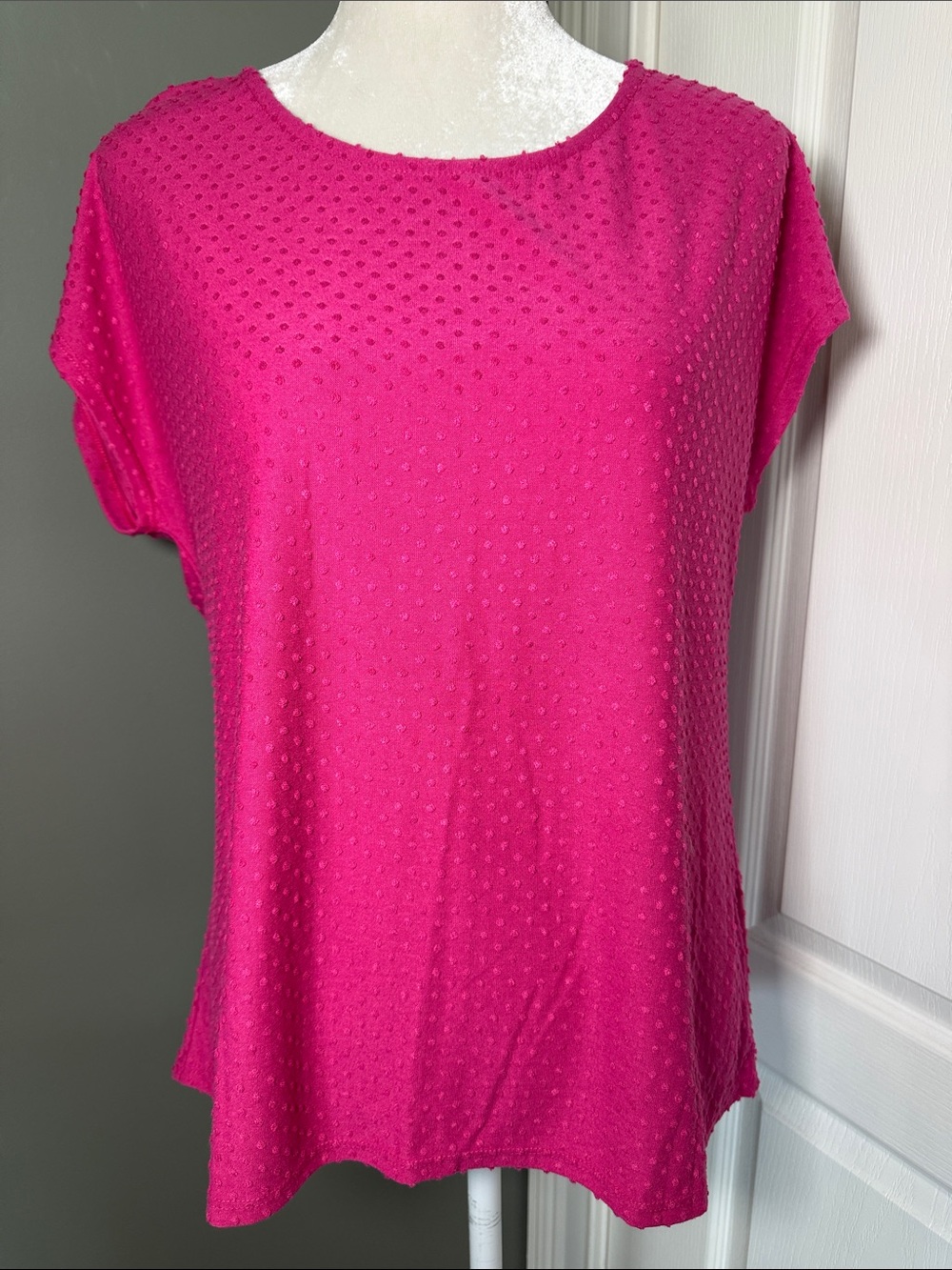 W5 Textured Swiss Dot Pink Short Sleeve Blouse Size Large